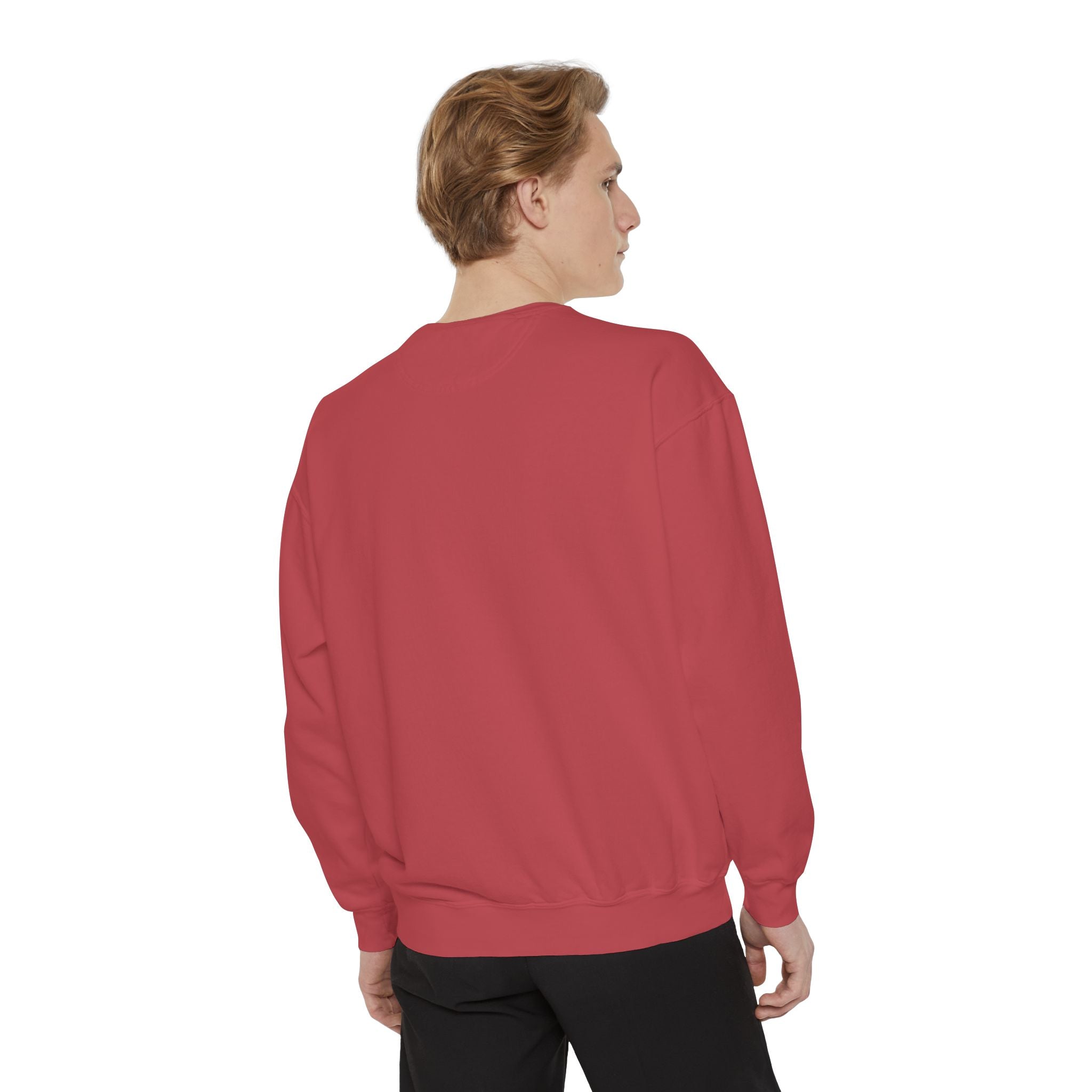 Dada Opossum sweatshirt
